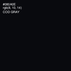 #080A0E - Cod Gray Color Image